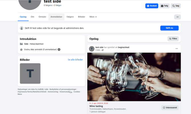 FB artikkel SE trin5